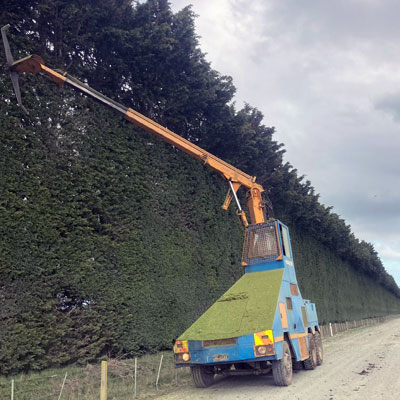 oamaru hedge cutting