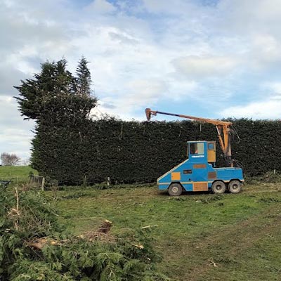 oamaru hedge trimming