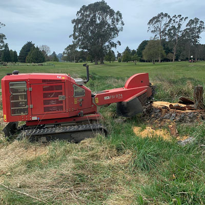 Stump grinding before