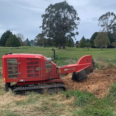 Stump grinding after